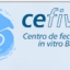 Centro De Fecundacin In Vitro De Baleares (Cefivba)